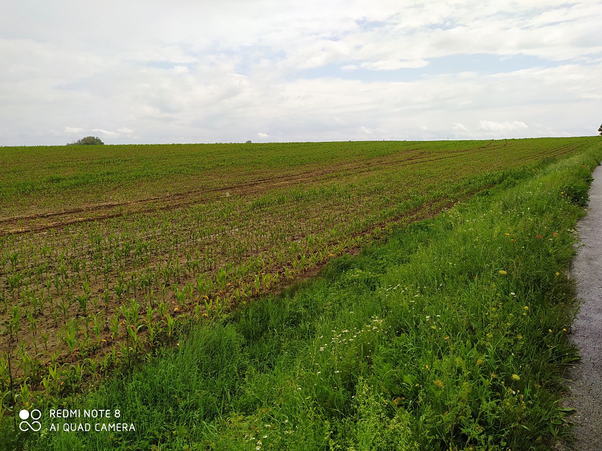 Prodej komerčního pozemku 114836 m²