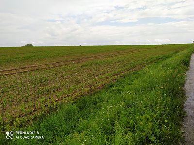 Prodej komerčního pozemku 114836 m²