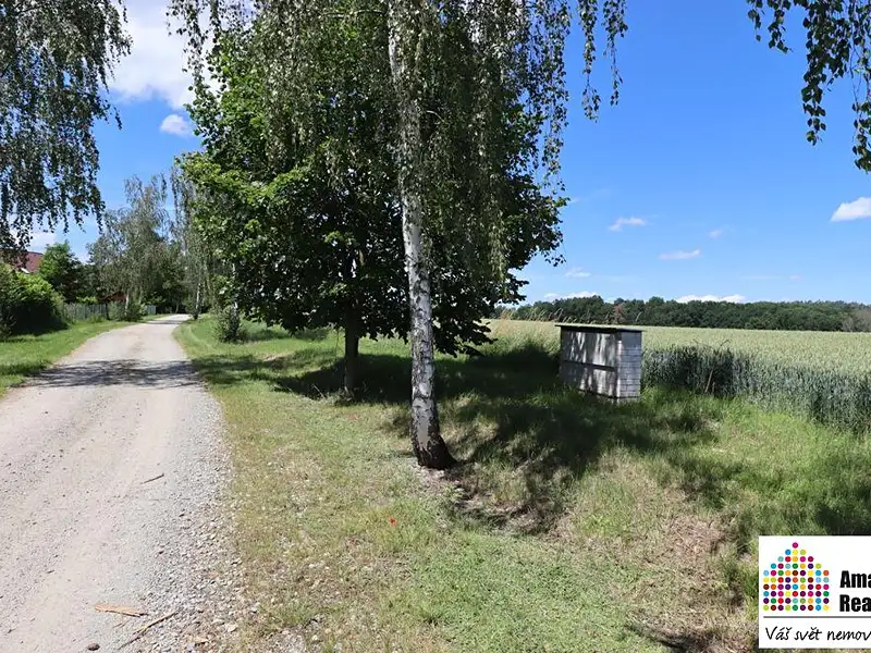 Prodej stavebního pozemku 6704 m², Zvíkovské Podhradí – náhled fotky 1