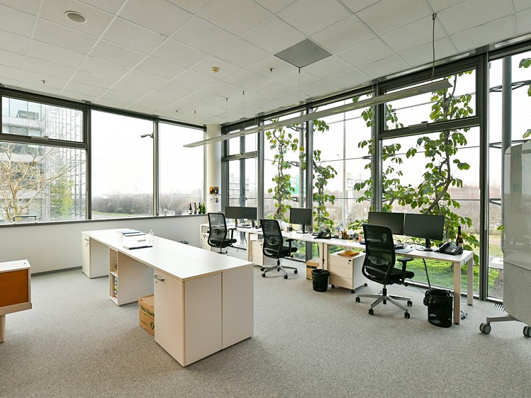 Gewerbefläche zur Miete, 950 m² (10 von 12)