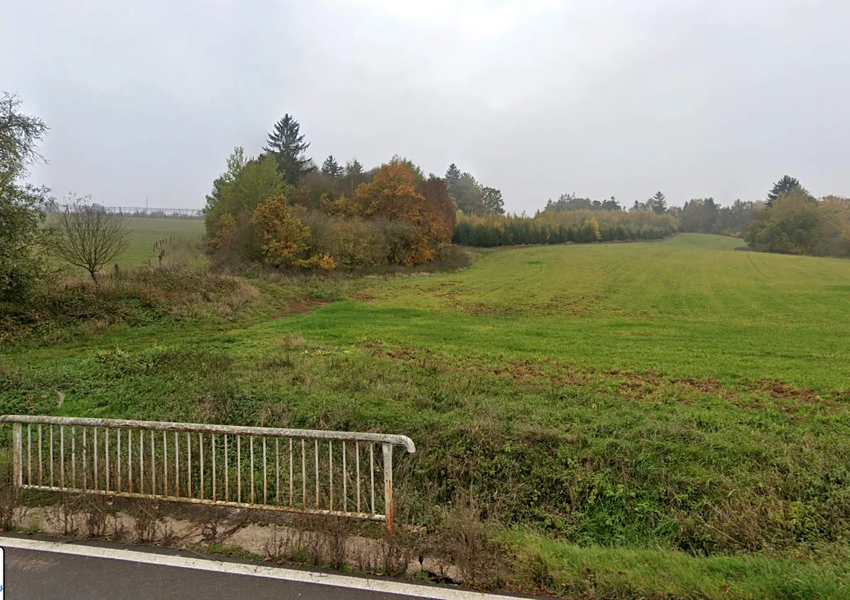 Prodej lesa 1477 m²