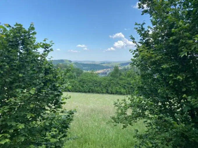 Prodej stavebního pozemku 4256 m², Sázava – náhled fotky 3