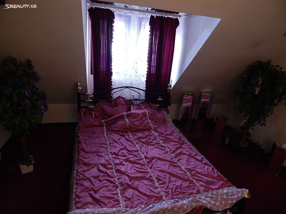 Prodej vícegeneračního domu 400 m², pozemek 134 m² – fotografie 4