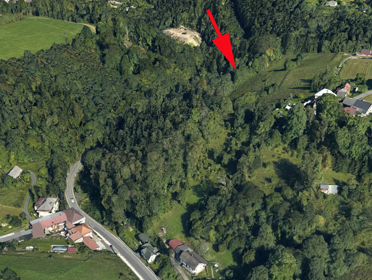 Prodej lesa 3547 m²