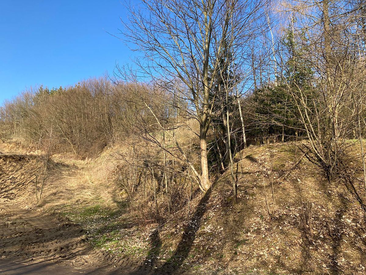 Prodej pozemku 1332 m² – fotografie 3