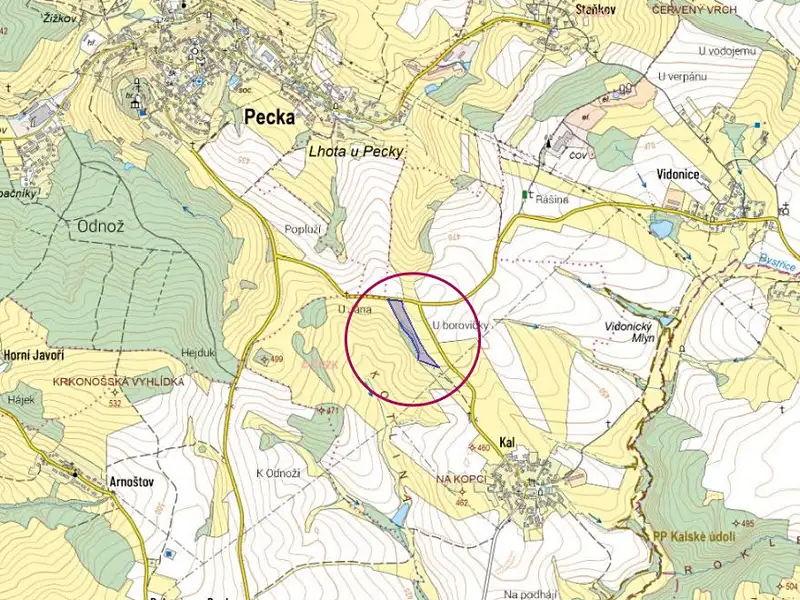 Prodej pole 15954 m², Pecka – náhled fotky 3