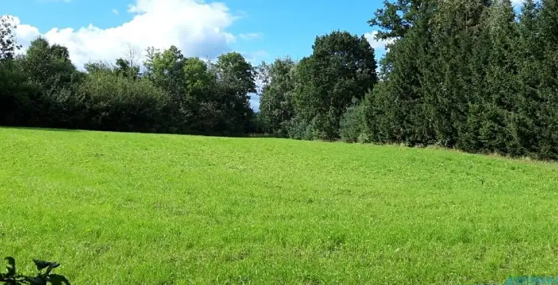 Prodej komerčního pozemku 4599 m², Mohelnice – náhled fotky 1