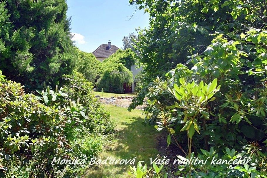 Prodej rodinného domu 788 m², pozemek 2699 m² – fotografie 5