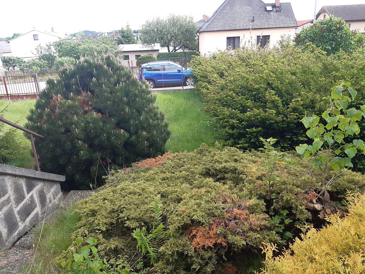 Prodej rodinného domu 130 m², pozemek 1026 m² – fotografie 5