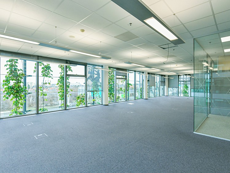 Gewerbefläche zur Miete, 1.340 m² (11 von 12)