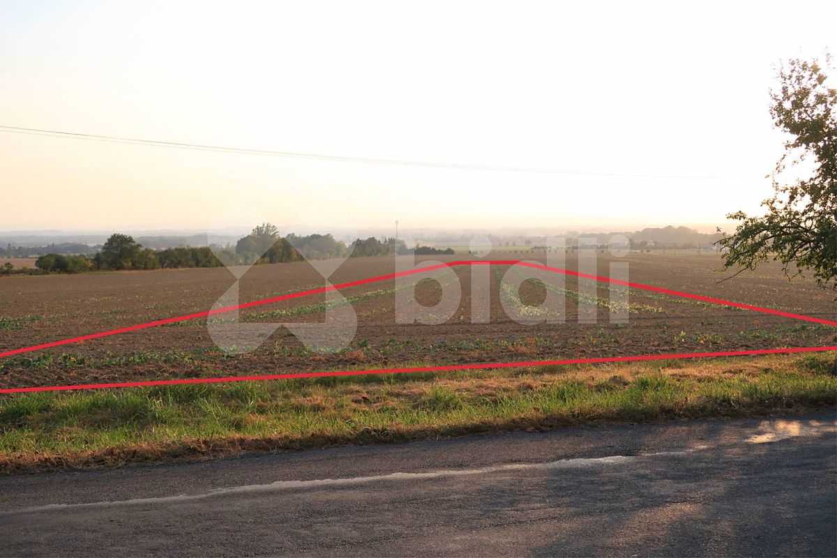 Prodej pole 3030 m² – fotografie 3