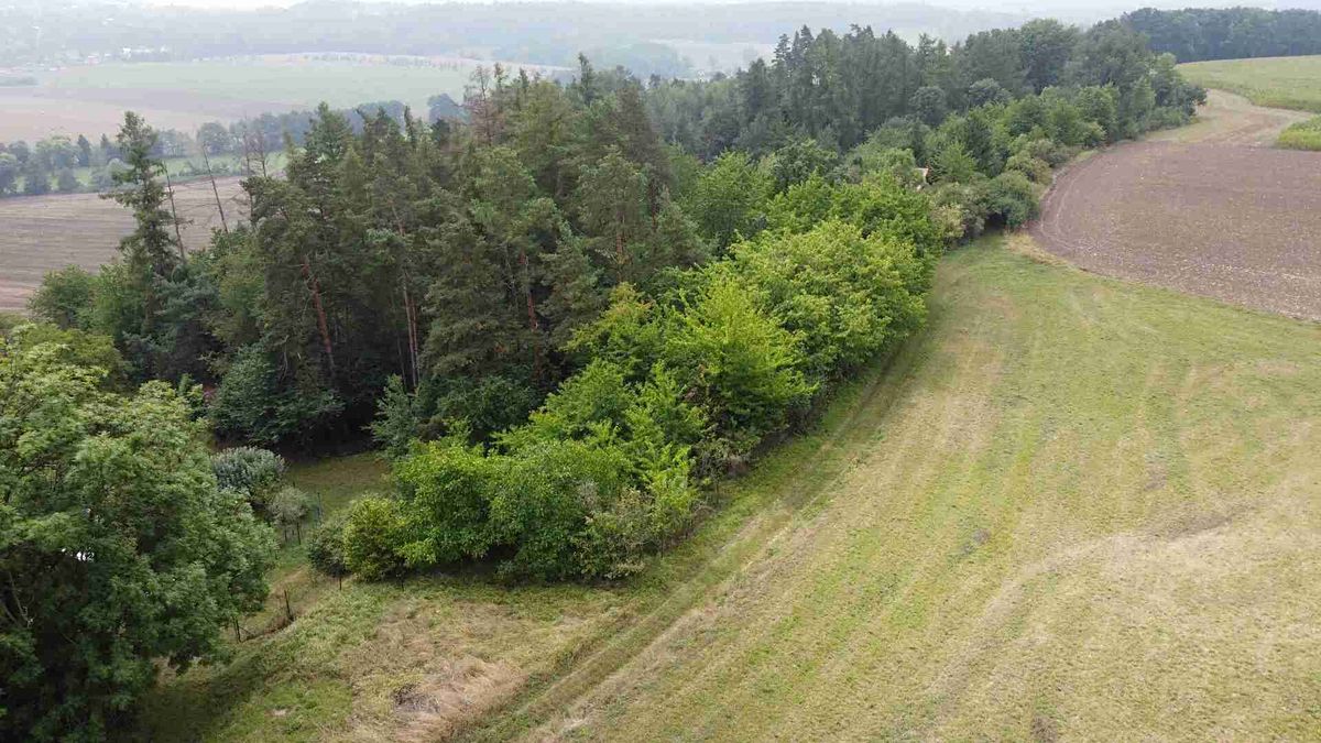 Prodej pozemku 864 m² – fotografie 2