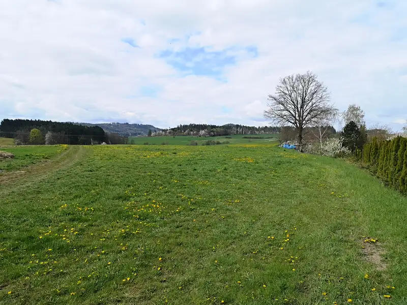 Prodej komerčního pozemku 10000 m², Radomyšl – náhled fotky 2