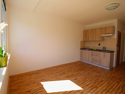 Pronájem bytu 1+kk 22 m²
