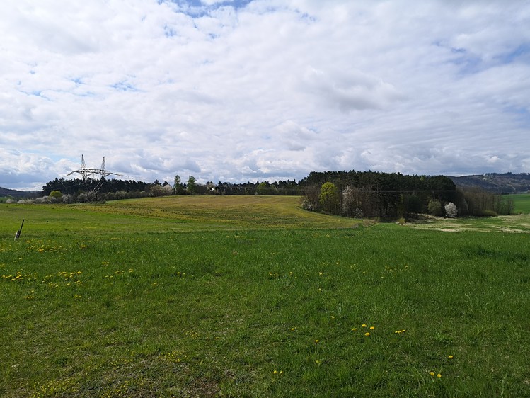 Ділянка на продаж, 10 000 м² (8 з 12)