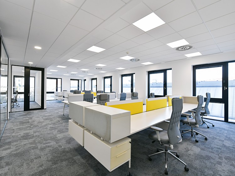 Gewerbefläche zur Miete, 850 m² (5 von 17)