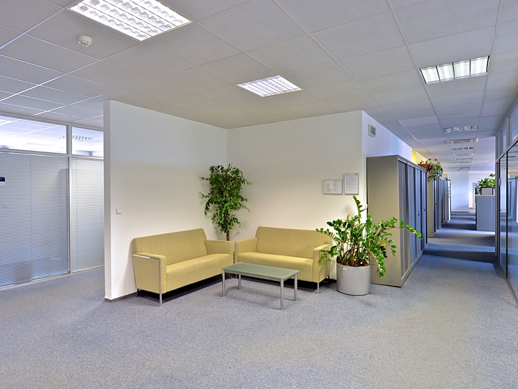 Gewerbefläche zur Miete, 2.800 m² (2 von 5)