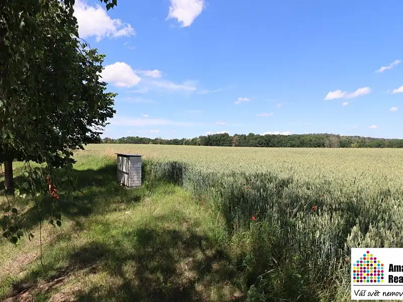 Prodej stavebního pozemku 6704 m², Zvíkovské Podhradí – náhled fotky 2