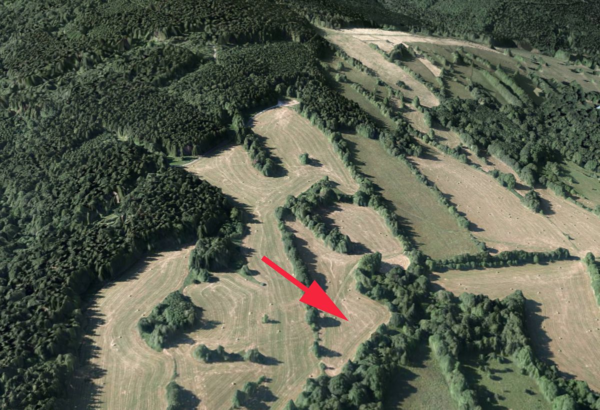 Prodej louky 9131 m²