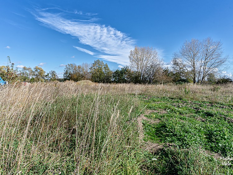 Prodej pozemku, 1 347 m² (4 z 7)