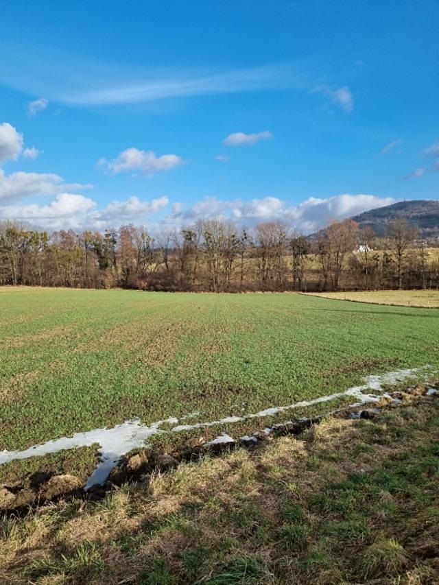 Pronájem zahrady 800 m²