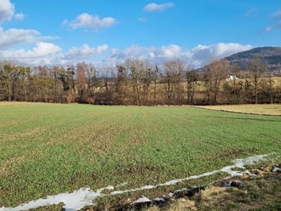 Pronájem  zahrady 800 m²