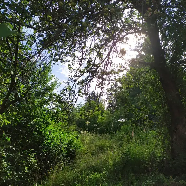 Prodej rodinného domu 90 m², pozemek 975 m², Březová – náhled fotky 3