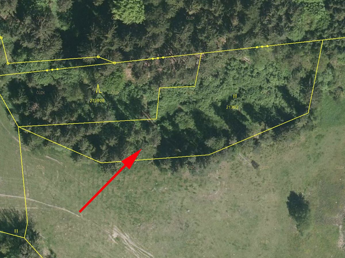 Prodej louky 3918 m²
