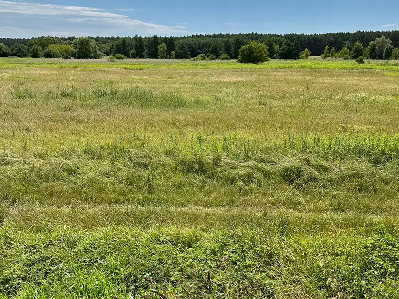 Prodej pozemku 481 m², Vracov – náhled fotky 2