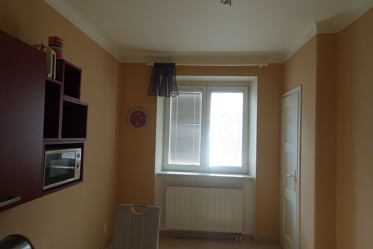 Pronájem bytu 1+1 48 m² – fotografie 5