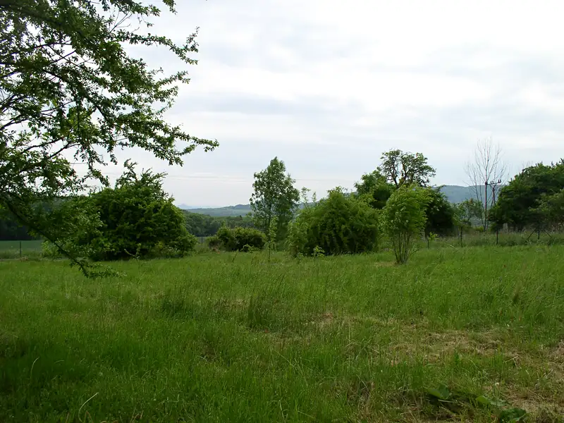 Prodej stavebního pozemku 2373 m², Třebušín – náhled fotky 3