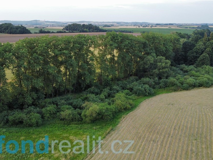 Grundstück zum Kauf, 2.930 m² (8 von 15)