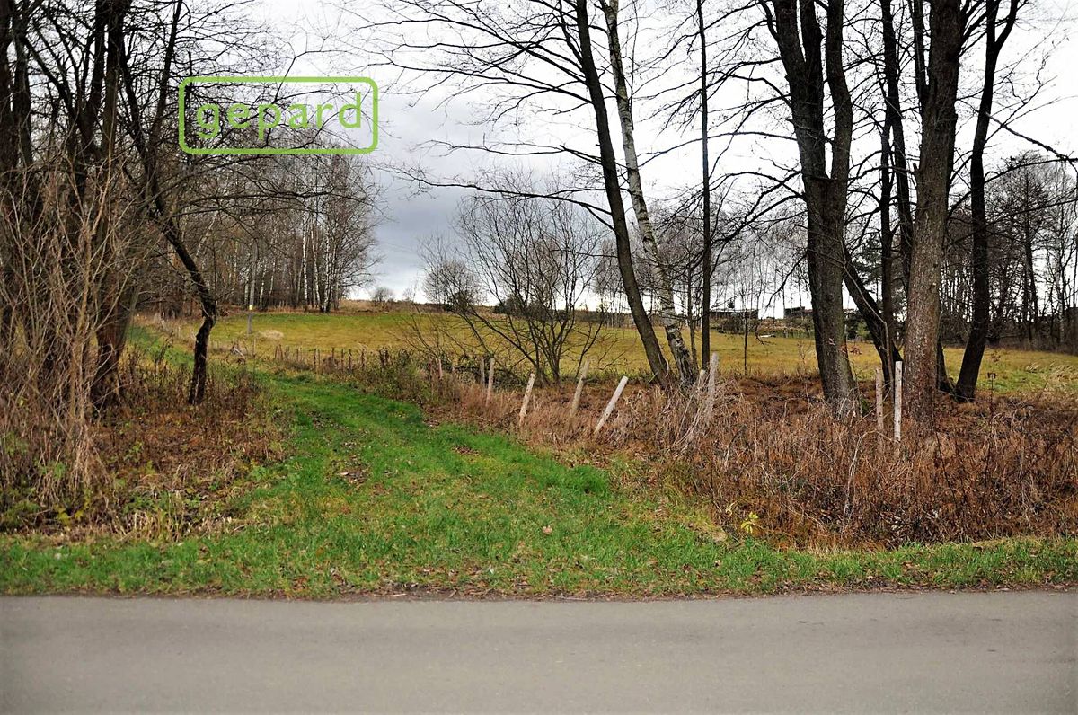 Prodej pole 4674 m² – fotografie 3