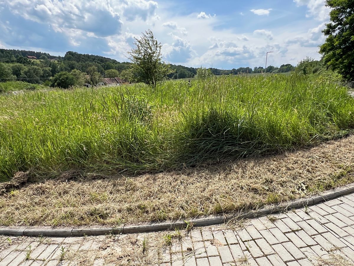 Prodej stavebního pozemku 777 m² – fotografie 4