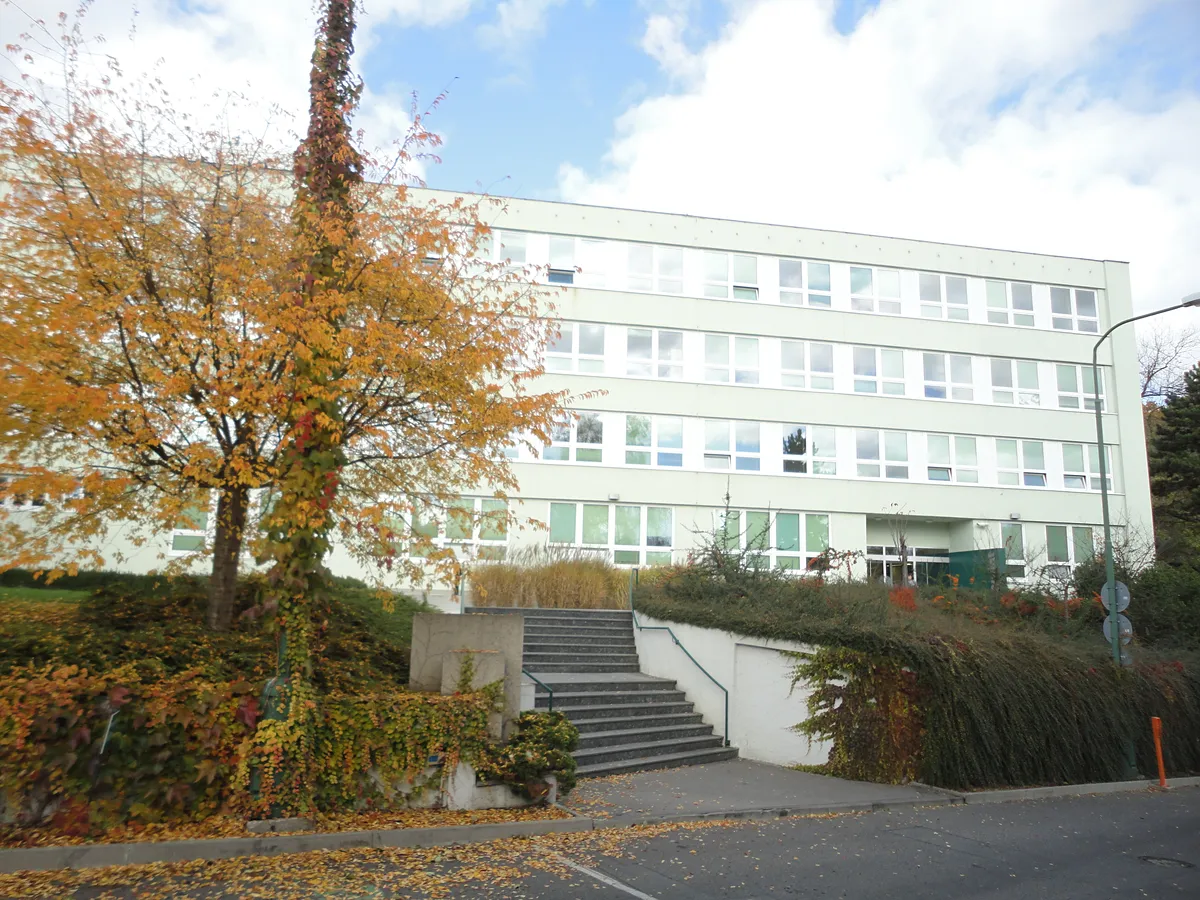 Pronájem kanceláře 500 m²
