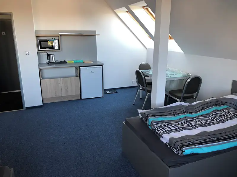 Pronájem ubytovacího zařízení 220 m², Sokolov – náhled fotky 3