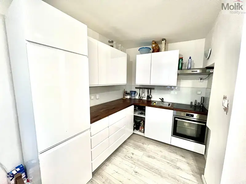 Prodej vícegeneračního domu 200 m², pozemek 40 m², Žatec – náhled fotky 2