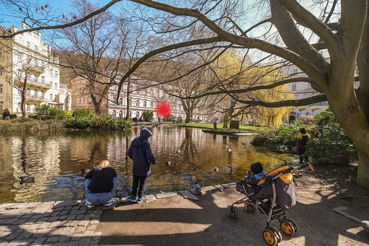 Pronájem obchodního prostoru 13 m² – fotografie 3