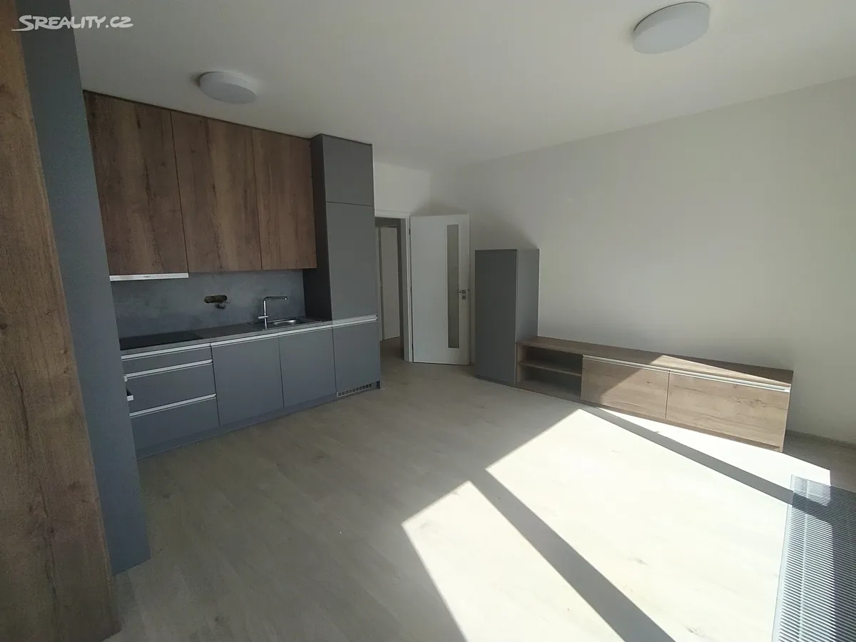 Pronájem bytu 2+kk 55 m² – pohled 4