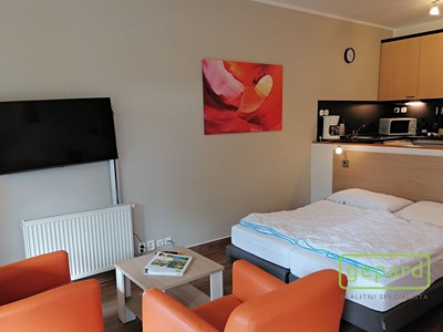 Квартира 1+kk на продаж, 49 м² (3 з 15)