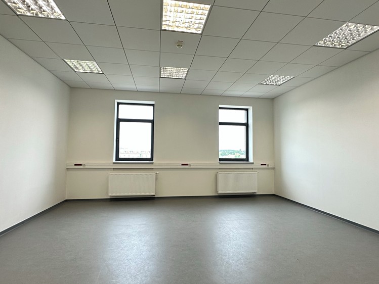 Gewerbefläche zur Miete, 552 m² (7 von 12)