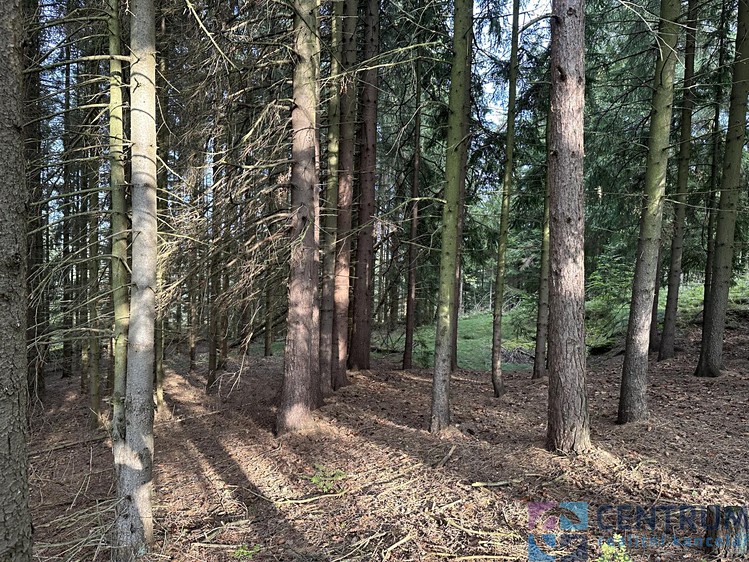 Grundstück zum Kauf, 15.992 m² (2 von 4)