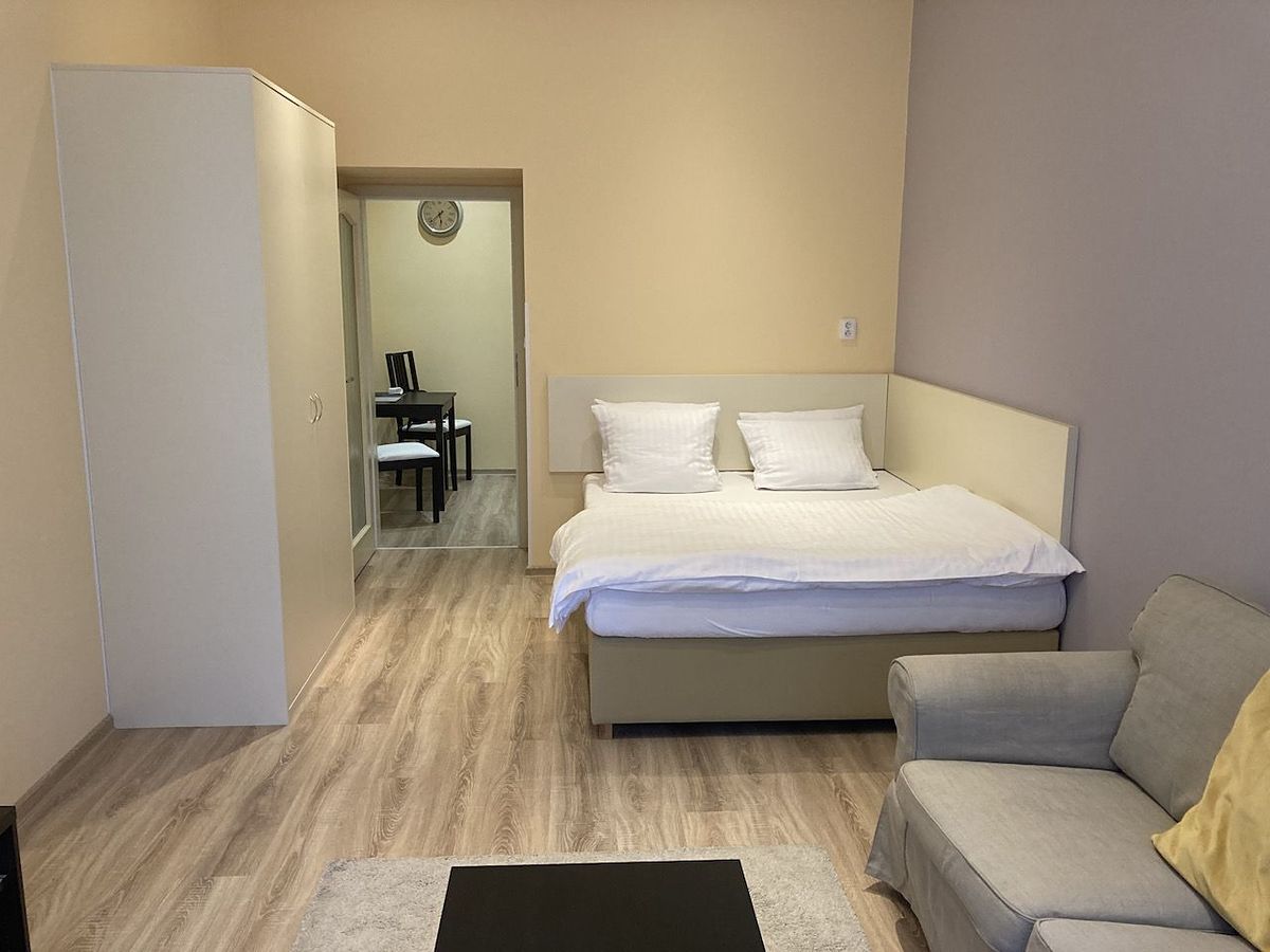 Pronájem bytu 1+1 40 m² – fotografie 4