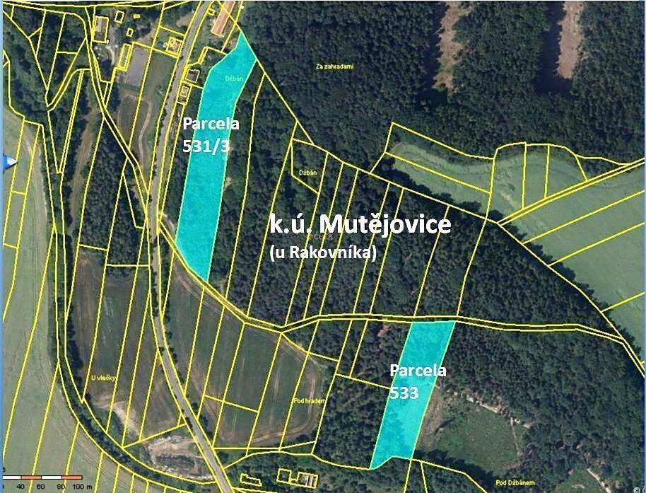 Pronájem pole 13429 m² – fotografie 2