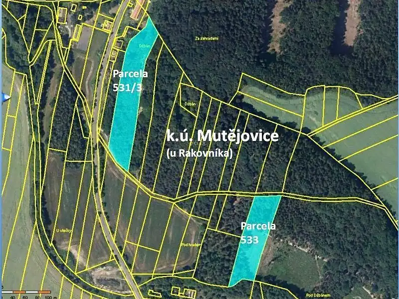 Pronájem pole 13429 m², Mutějovice – náhled fotky 2