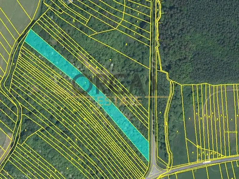 Prodej pole 17736 m², Březolupy – náhled fotky 1