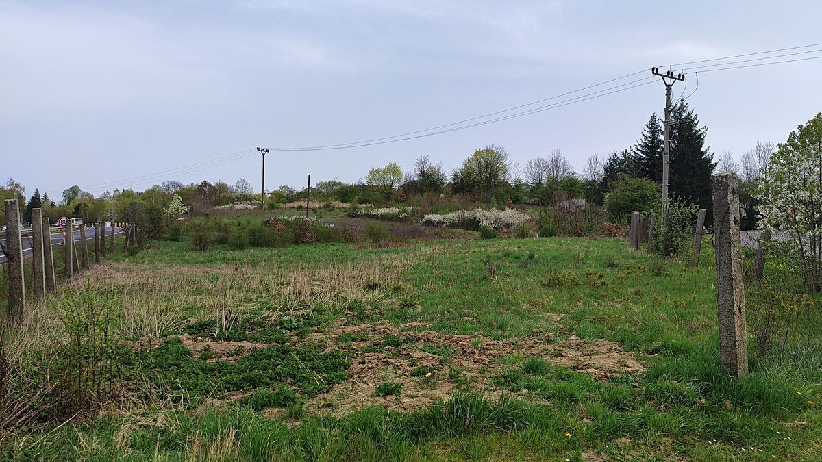 Prodej komerčního pozemku 6152 m² – fotografie 3