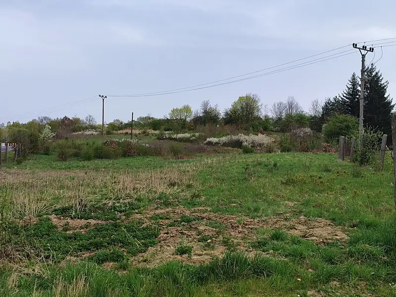 Prodej komerčního pozemku 6152 m², Dalovice – náhled fotky 3