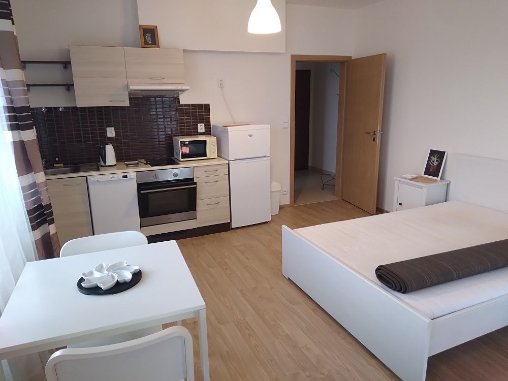 Pronájem bytu 1+kk 32 m²
