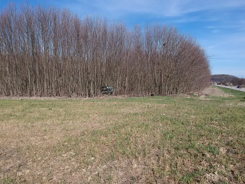 Prodej komerčního pozemku 10200 m², Čkyně – náhled fotky 3